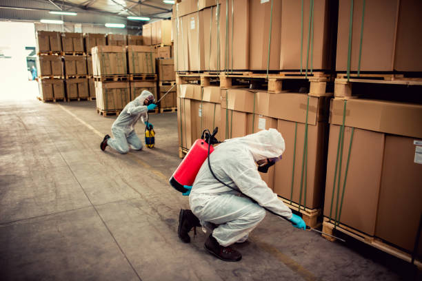 Best Insect Control  in Arroyo Grande, CA
