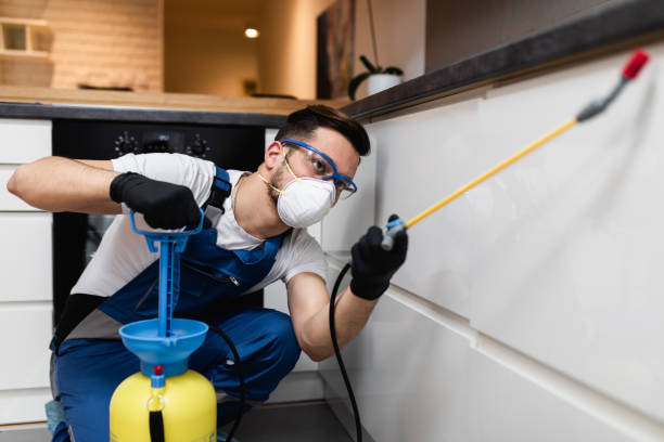 Arroyo Grande, CA Pest Control Company