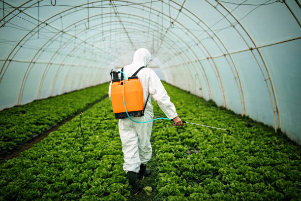 Best Mosquito Control Services  in Arroyo Grande, CA