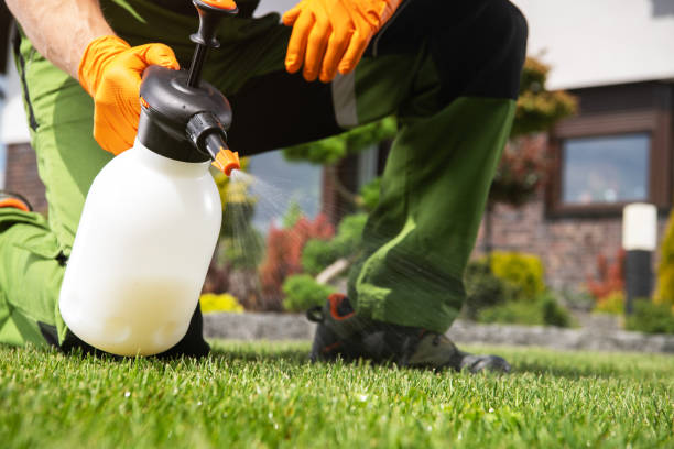 Best Mosquito Control Services  in Arroyo Grande, CA