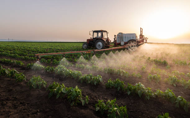 Best Pest Control Near Me  in Arroyo Grande, CA