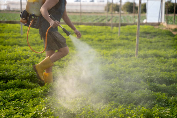 Best Exterminator Services  in Arroyo Grande, CA