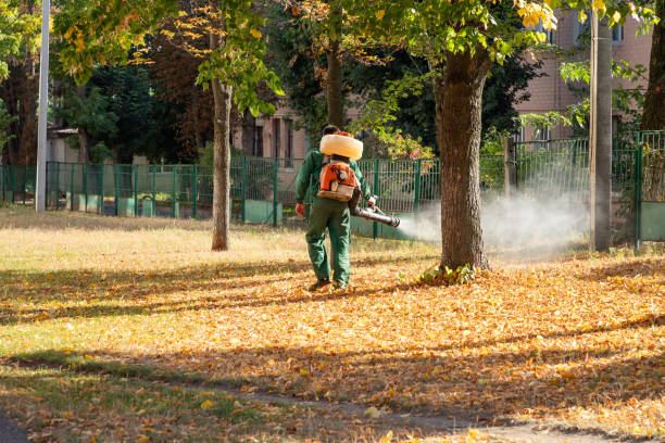 Best Termite Control Services  in Arroyo Grande, CA