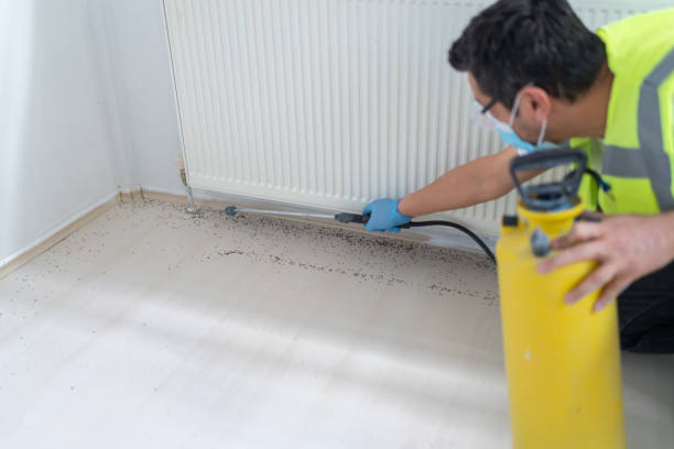 Best Pest Removal Services  in Arroyo Grande, CA